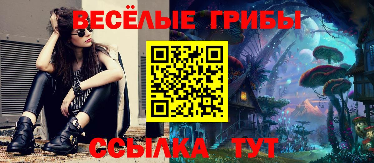Галлюциногенные грибы GOLDEN TEACHER  Вход с VPN  сколько стоит  Псилоцибиновые грибы MAGIC MUSHROOMS  Елабуга 