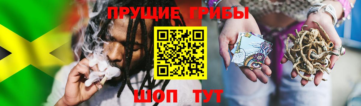 Галлюциногенные грибы мицелий Елабуга